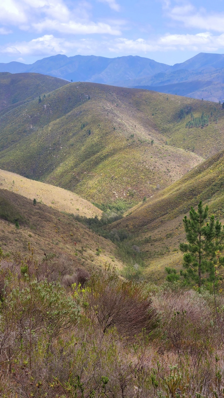 Commercial Property for Sale in Uniondale Rural Western Cape